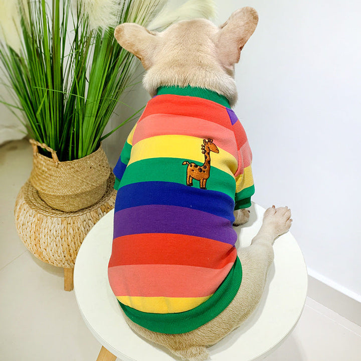 Keep Your Pets Cozy and Stylish with Rainbow Pet Clothing