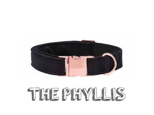 Unleash Style and Comfort with the Unique Style Paws Leash