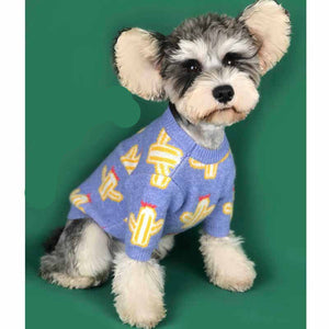 Get Cozy with Our Adorable Pet Cactus Sweater!