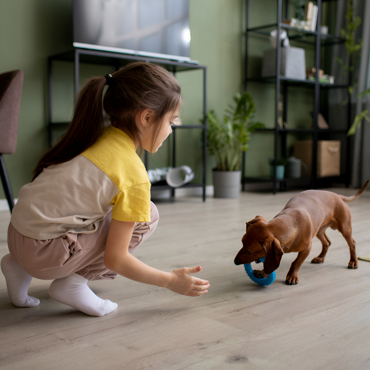 How to Choose the Perfect Toy for Your Pet