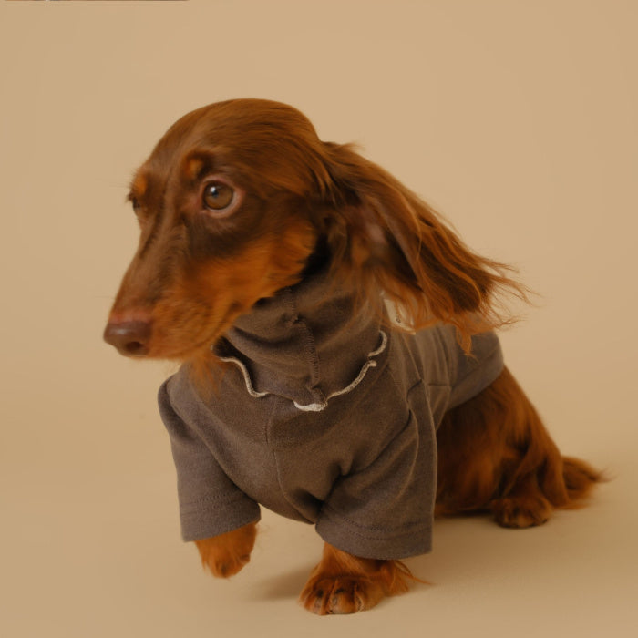 The Essential Pet Base Coat for Your Furry Friend