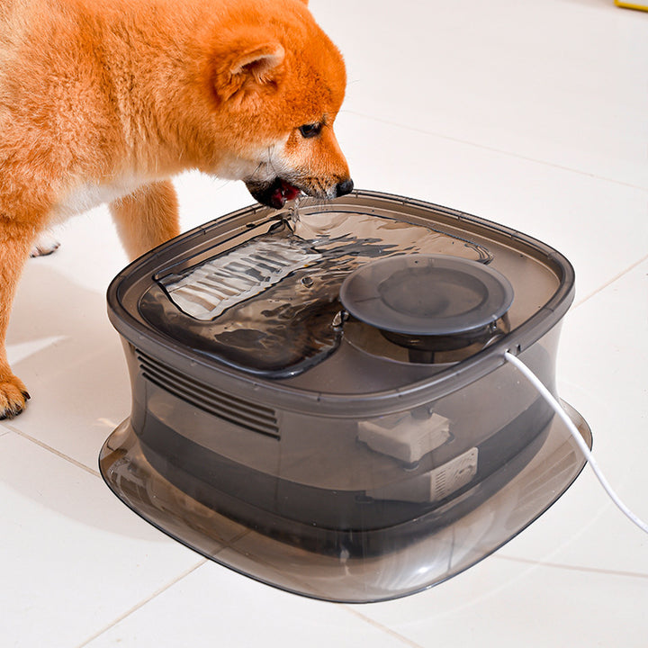 Pet Water Dispenser Large Capacity
