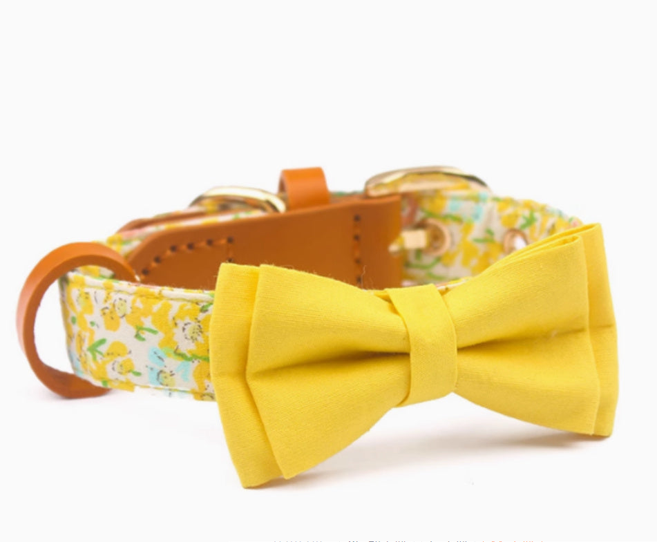 Cowhide Hand Holding Rope