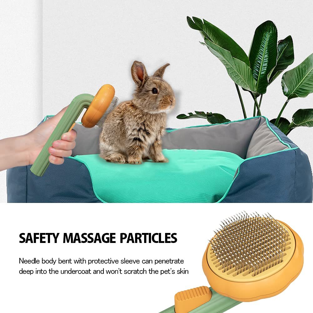 Pumpkin Comb Brush