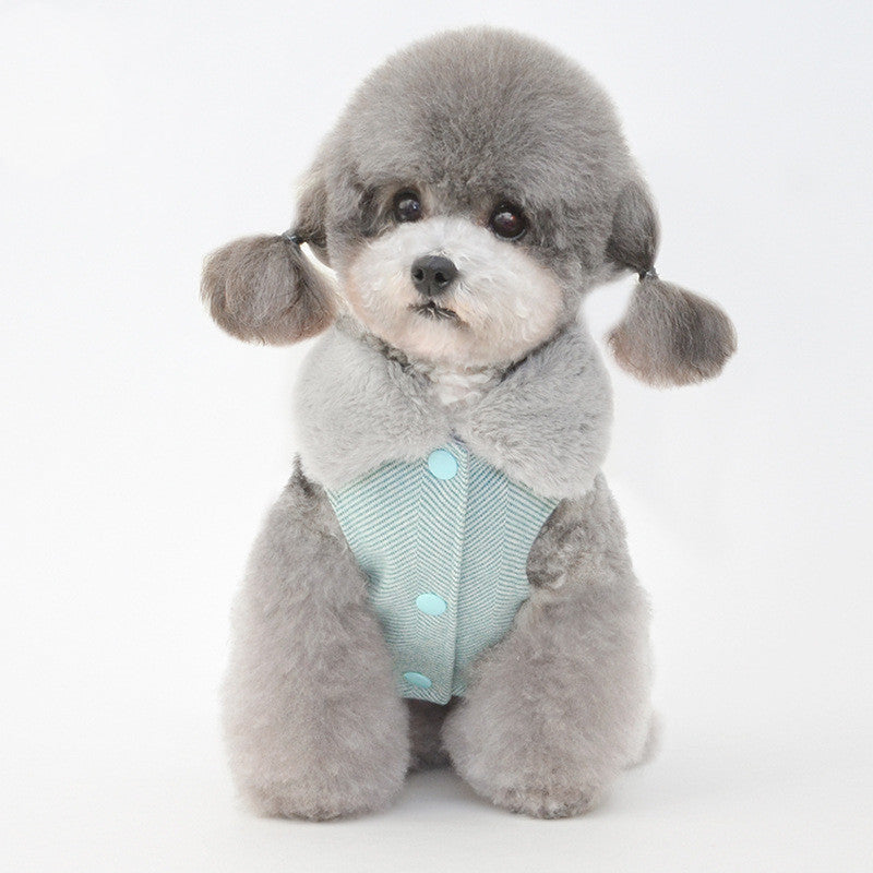 Pet Winter Clothes