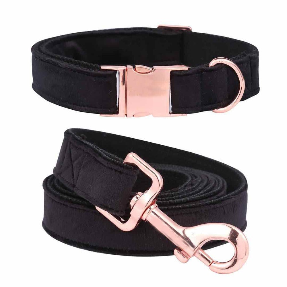Unique Style Paws Leash