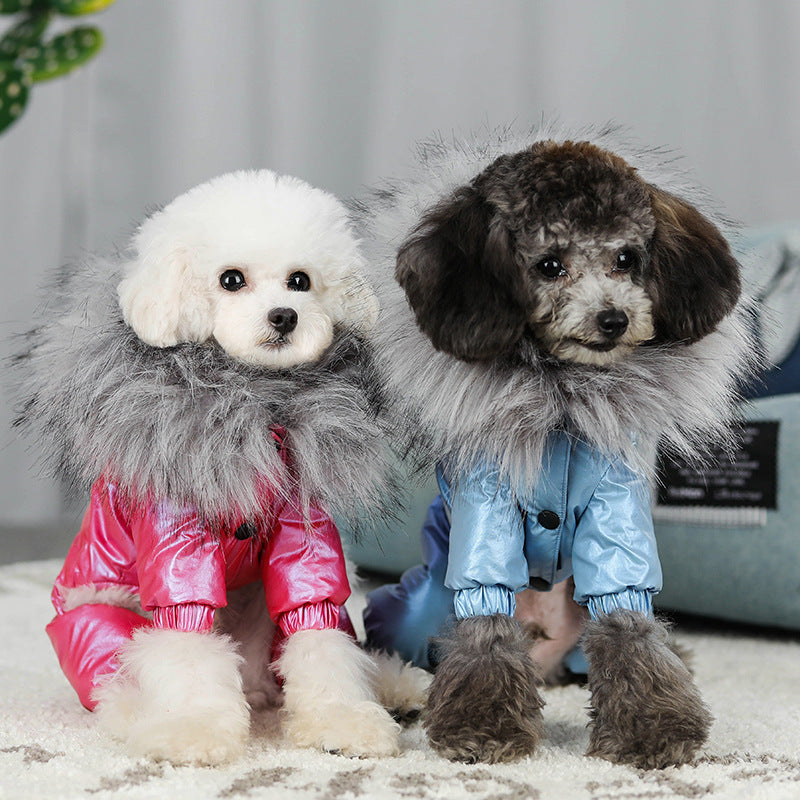 Winter Pet Down Padded Coat