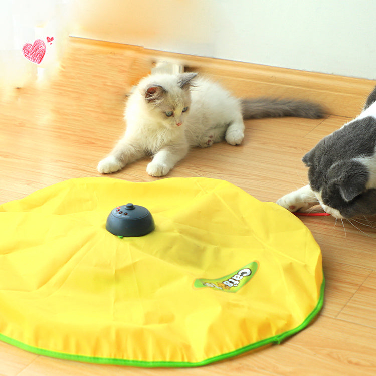 Cat Rotating Electric Toy