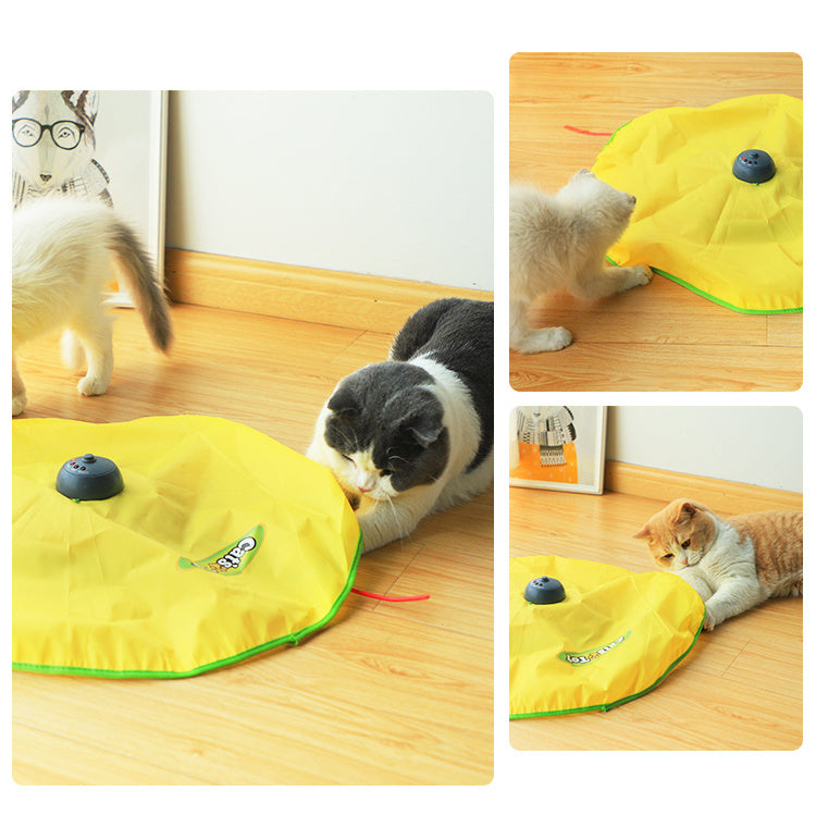 Cat Rotating Electric Toy