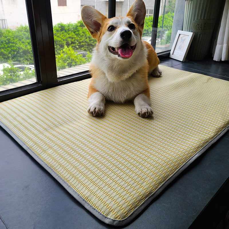 Dog Mat Sleeping Bed