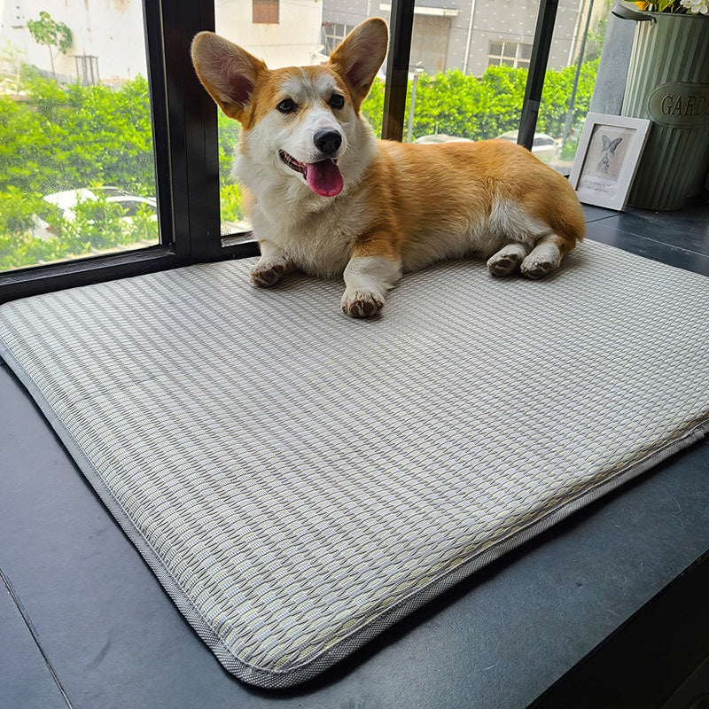 Dog Mat Sleeping Bed