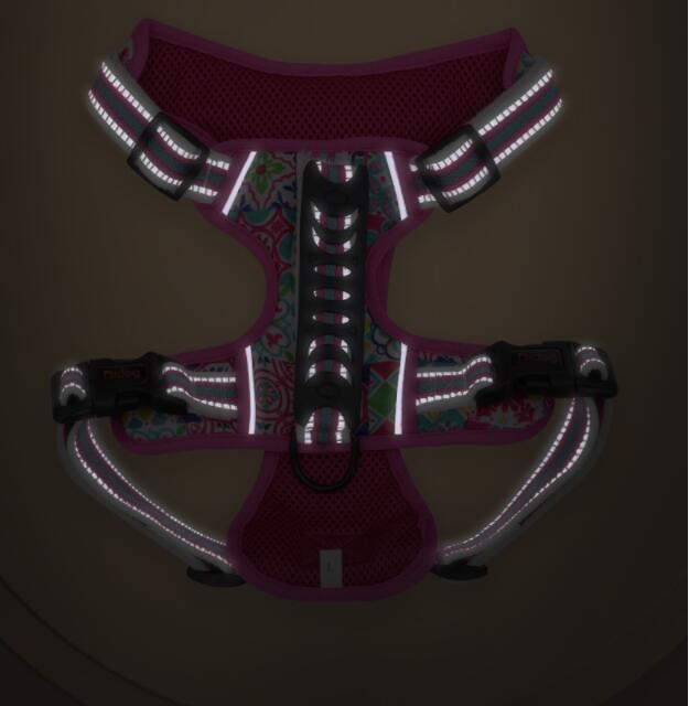 Pet Leash Chest Harness