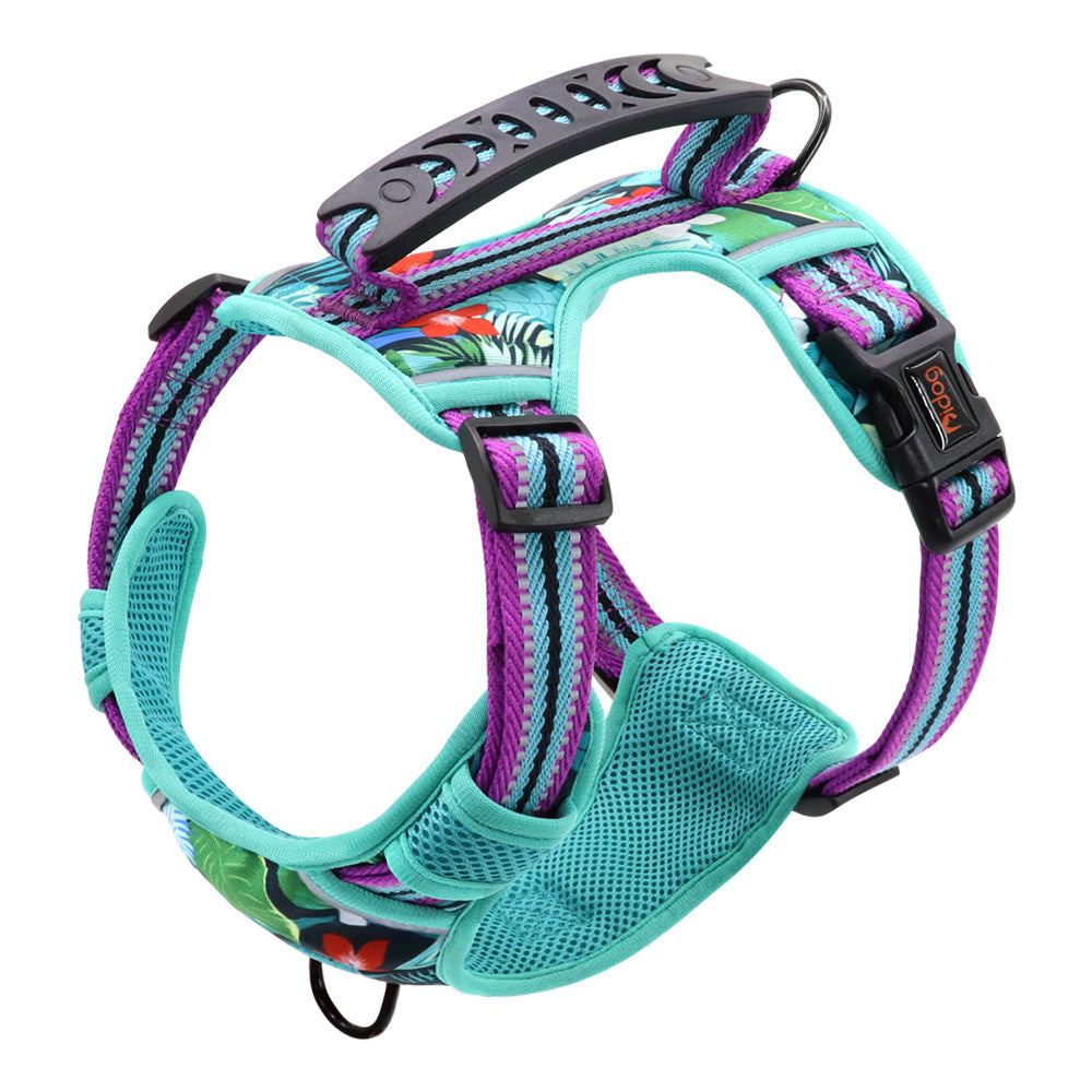 Pet Leash Chest Harness
