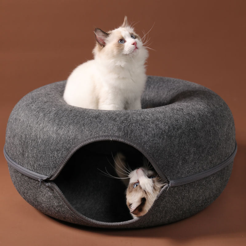 Interactive Training Toy Cat