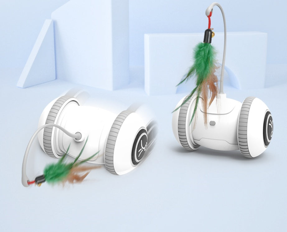 Interactive Cat Toy Pet Feather