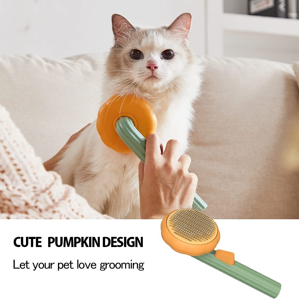 Pumpkin Comb Brush