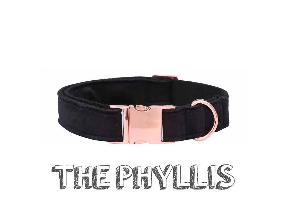 Unique Style Paws Leash