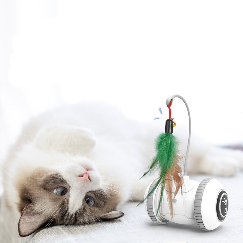 Interactive Cat Toy Pet Feather