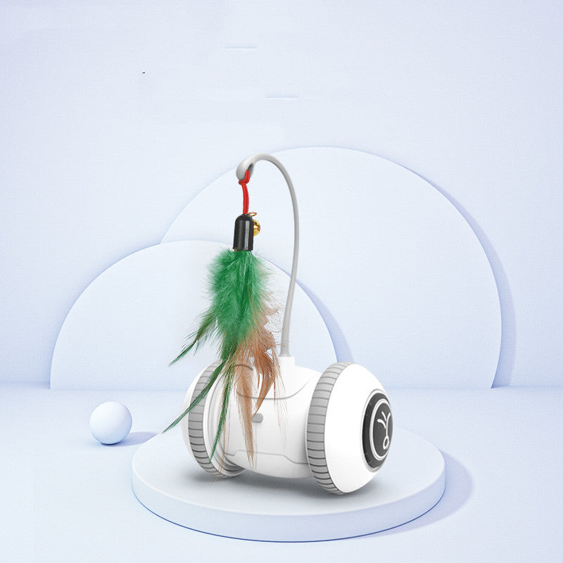Interactive Cat Toy Pet Feather