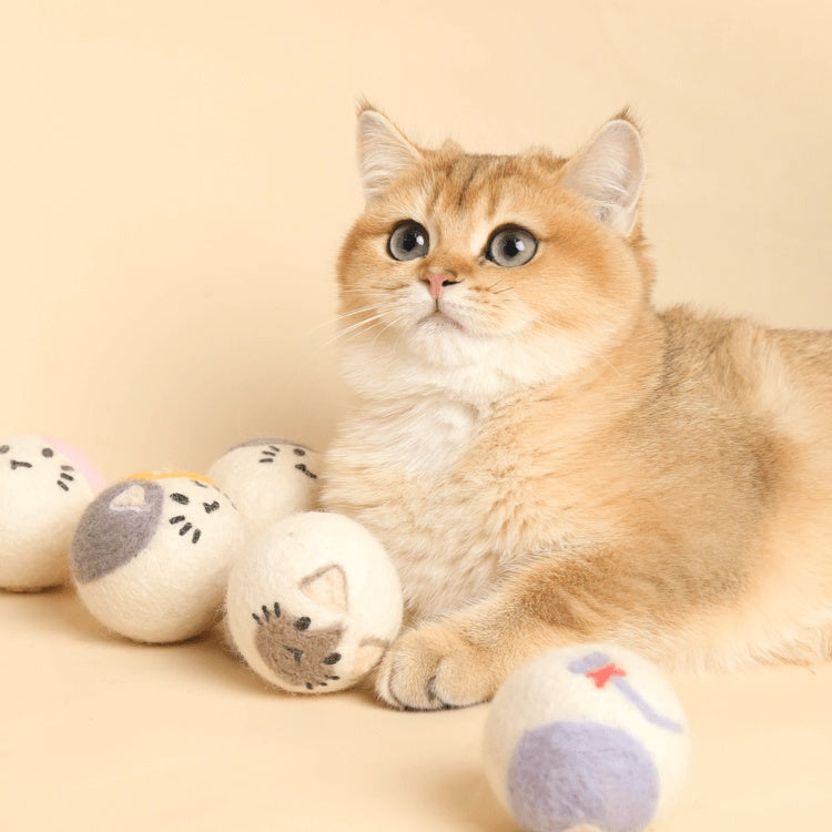Cat Self-indulgence Interactive Toy