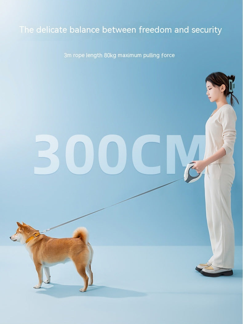 Ring With Light Dog Leash