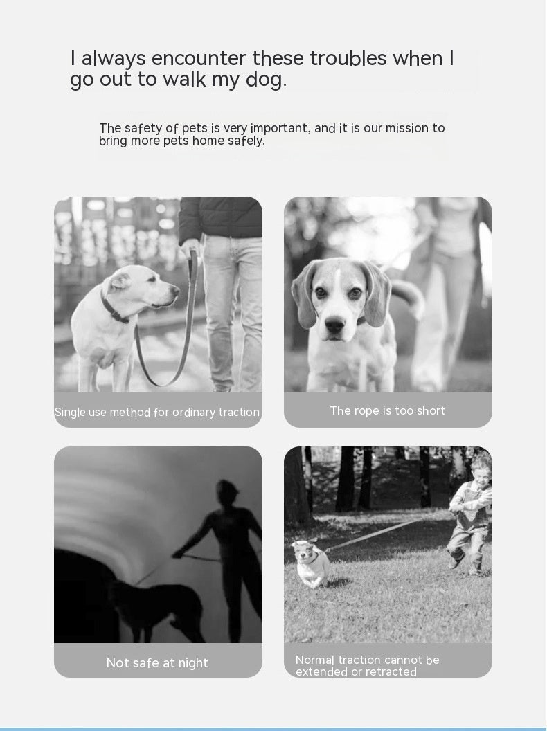 Ring With Light Dog Leash