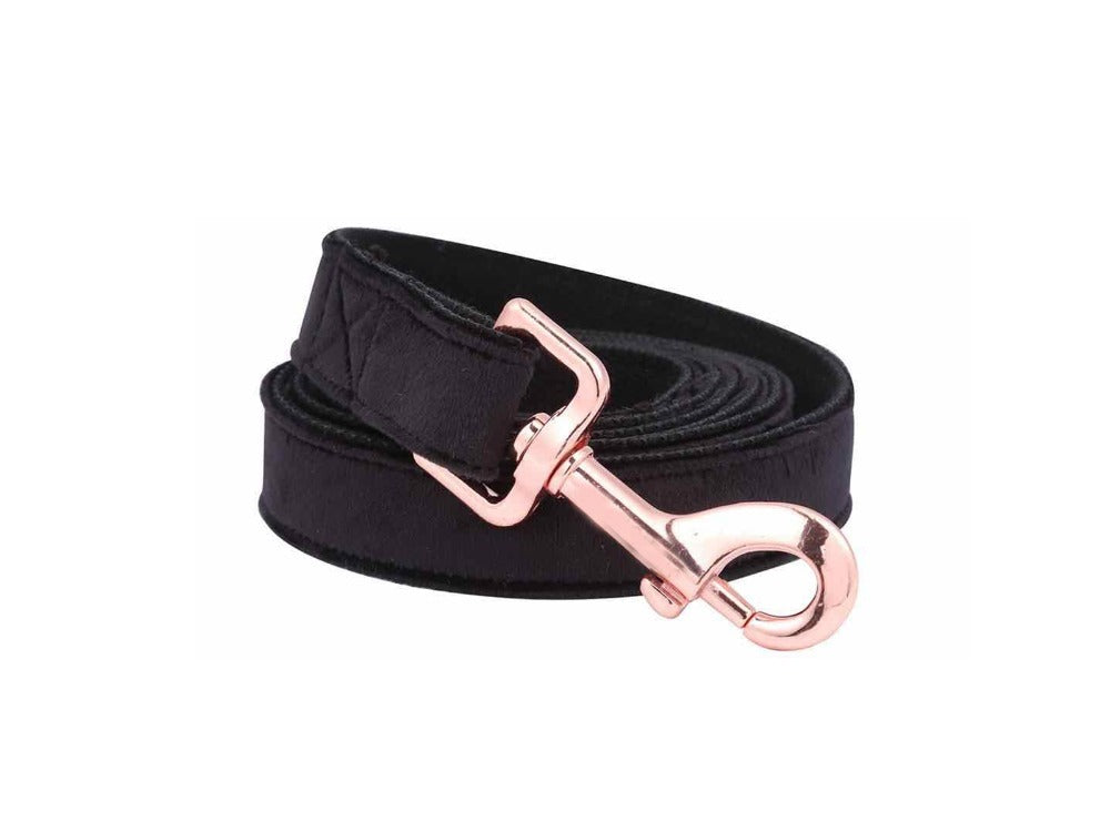 Unique Style Paws Leash