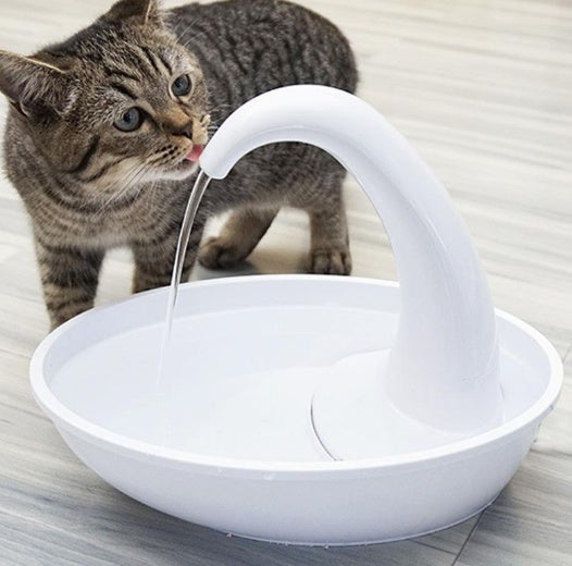 Pet Water Dispenser Drinking Bowl