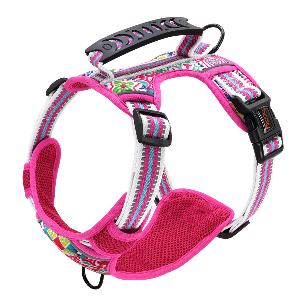 Pet Leash Chest Harness