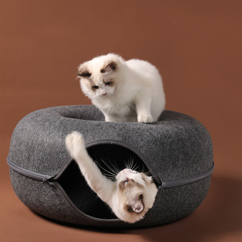 Interactive Training Toy Cat