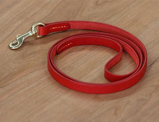 Leather Pet Traction Strap
