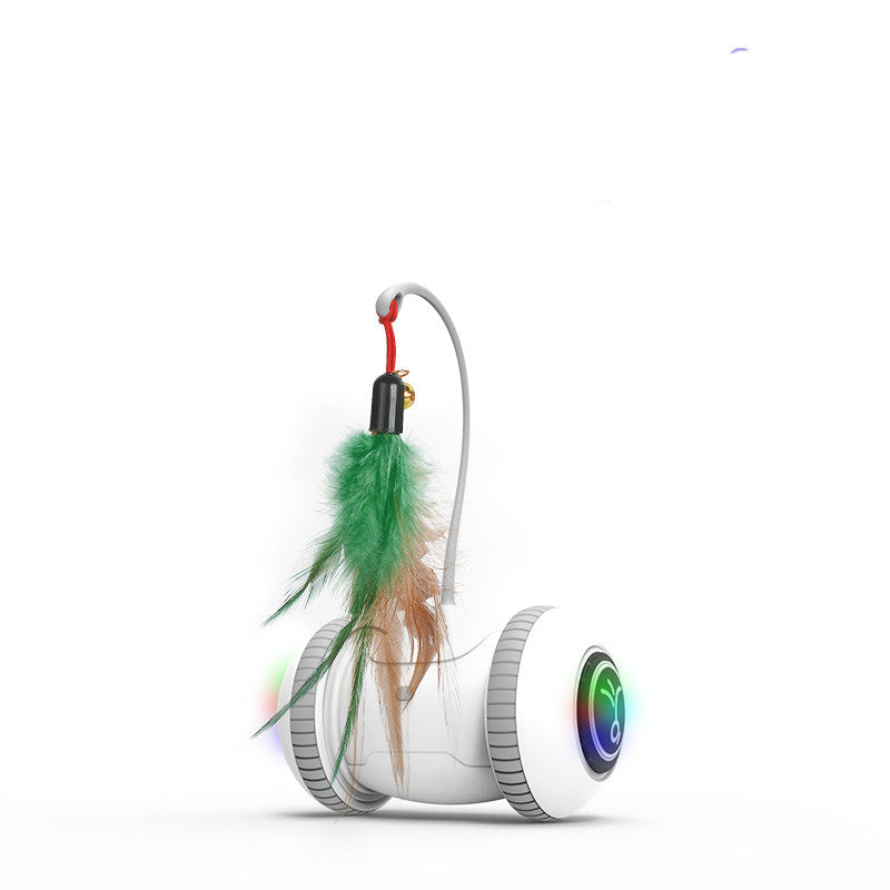 Interactive Cat Toy Pet Feather