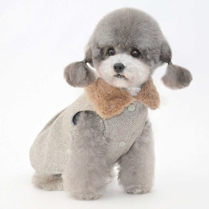 Pet Winter Clothes