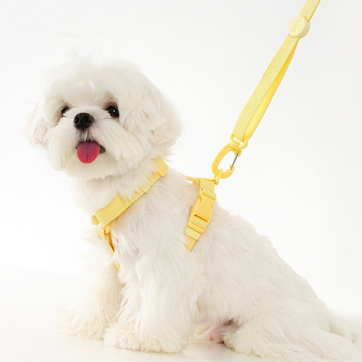 Pet Chest Back Lead Rope
