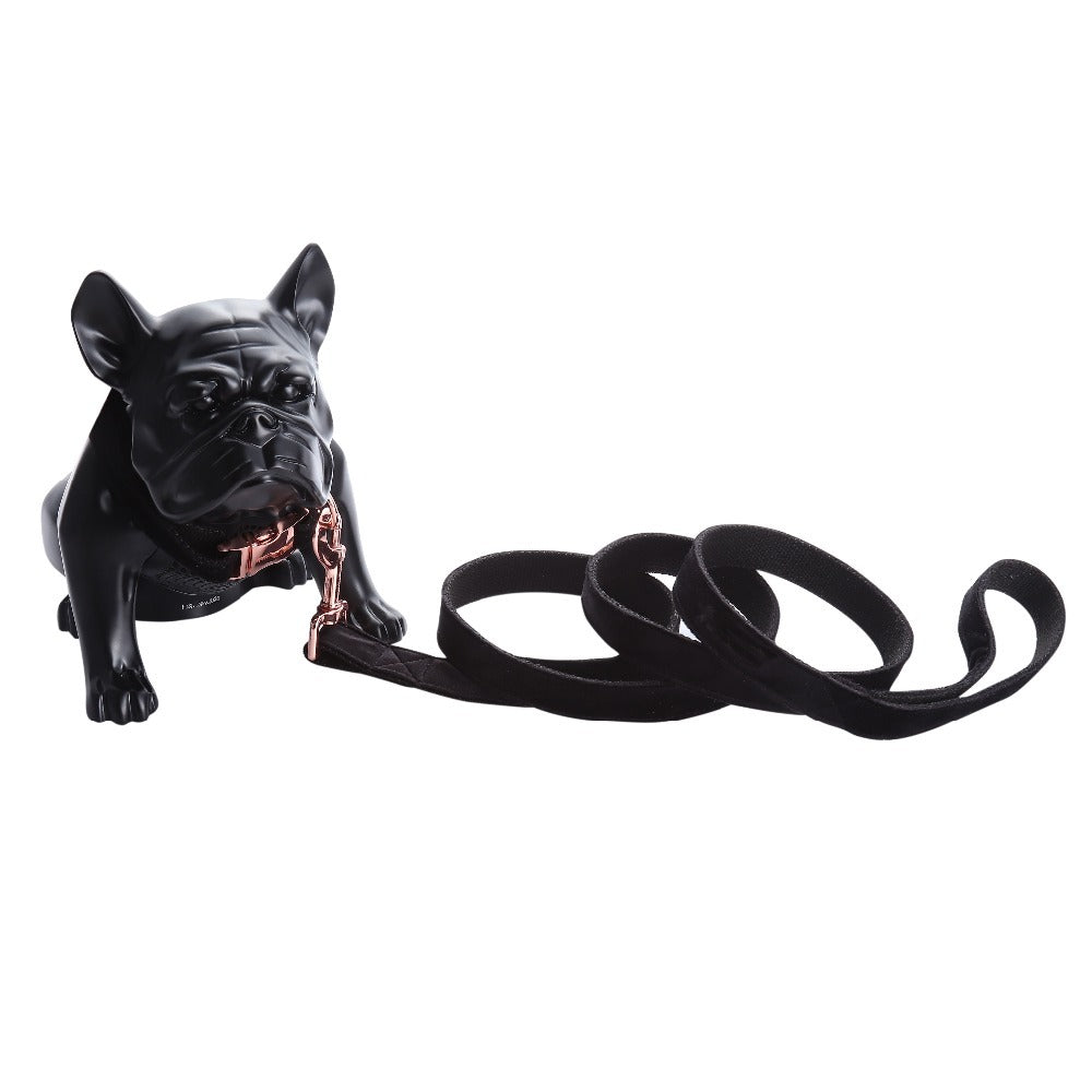 Unique Style Paws Leash