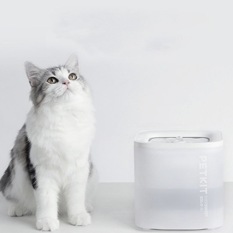 Smart Pet Water Dispenser