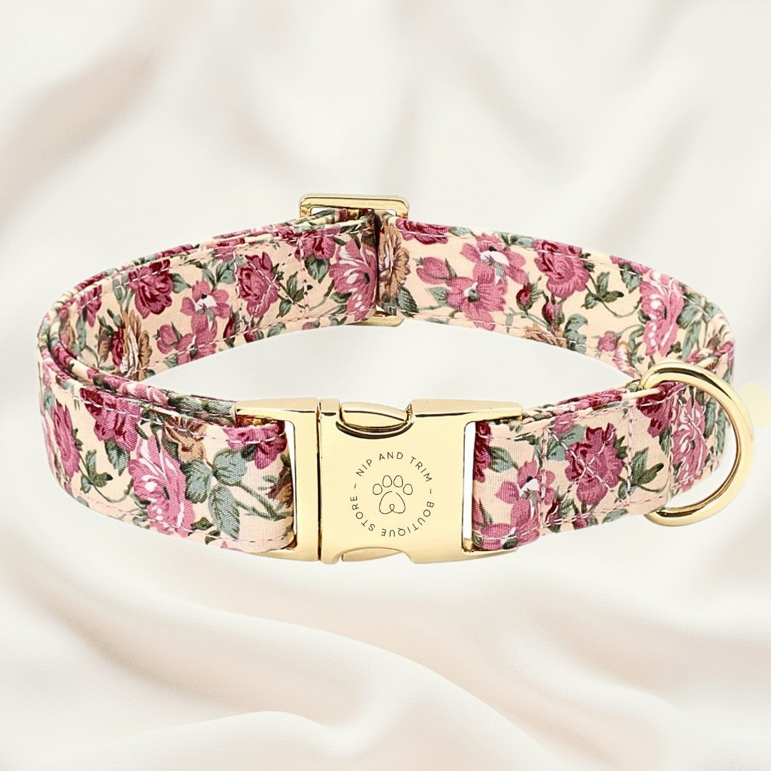 Dog Tag Custom Dog Collar