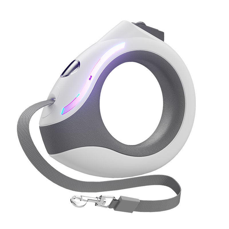 Ring With Light Dog Leash