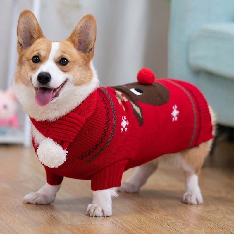 Pet Padded Winter Shiba
