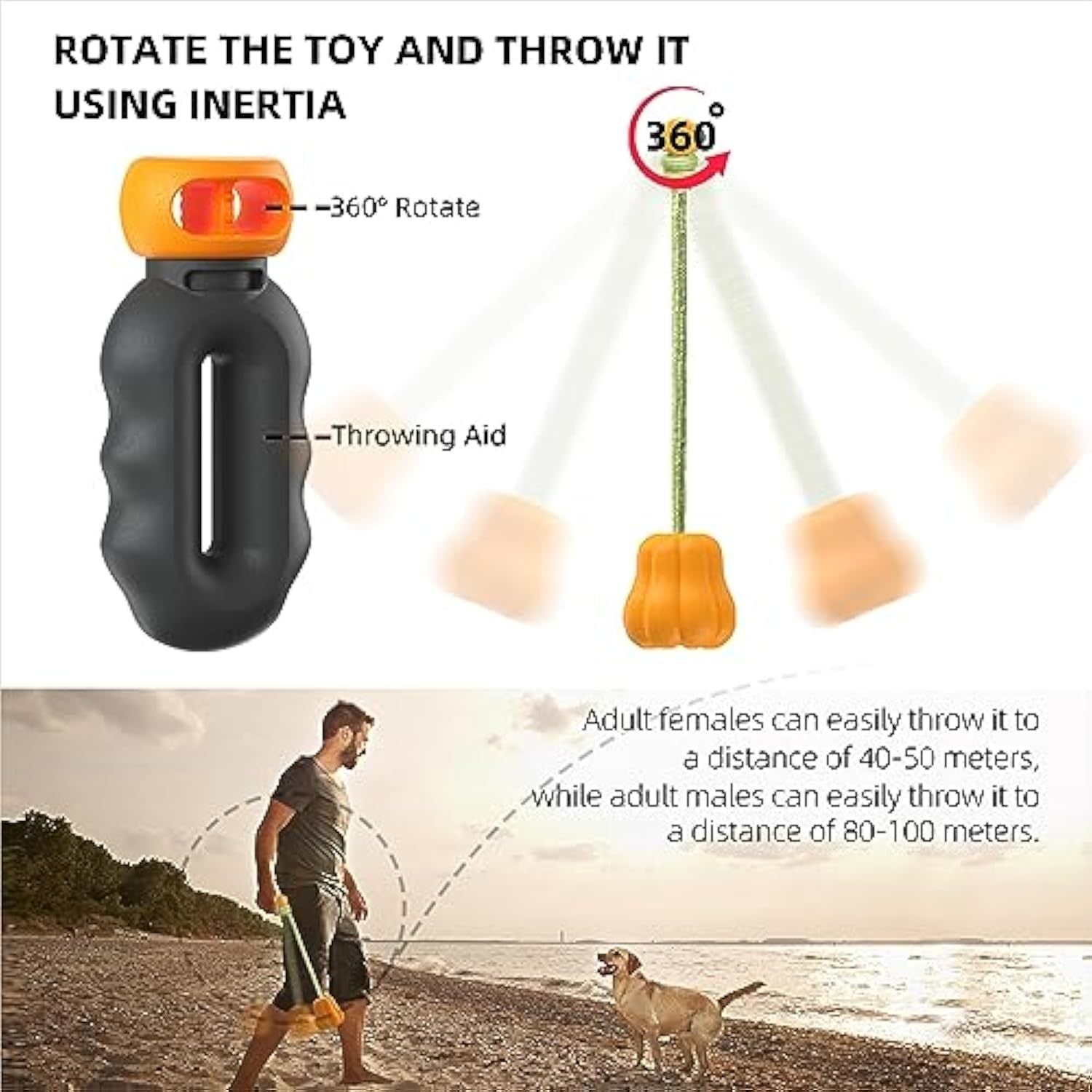 Halloween Premium Dog Toy