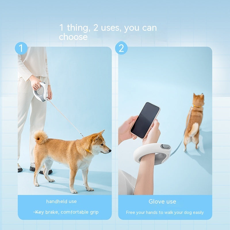 Ring With Light Dog Leash