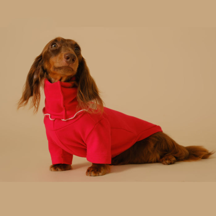 Pet Base Coat