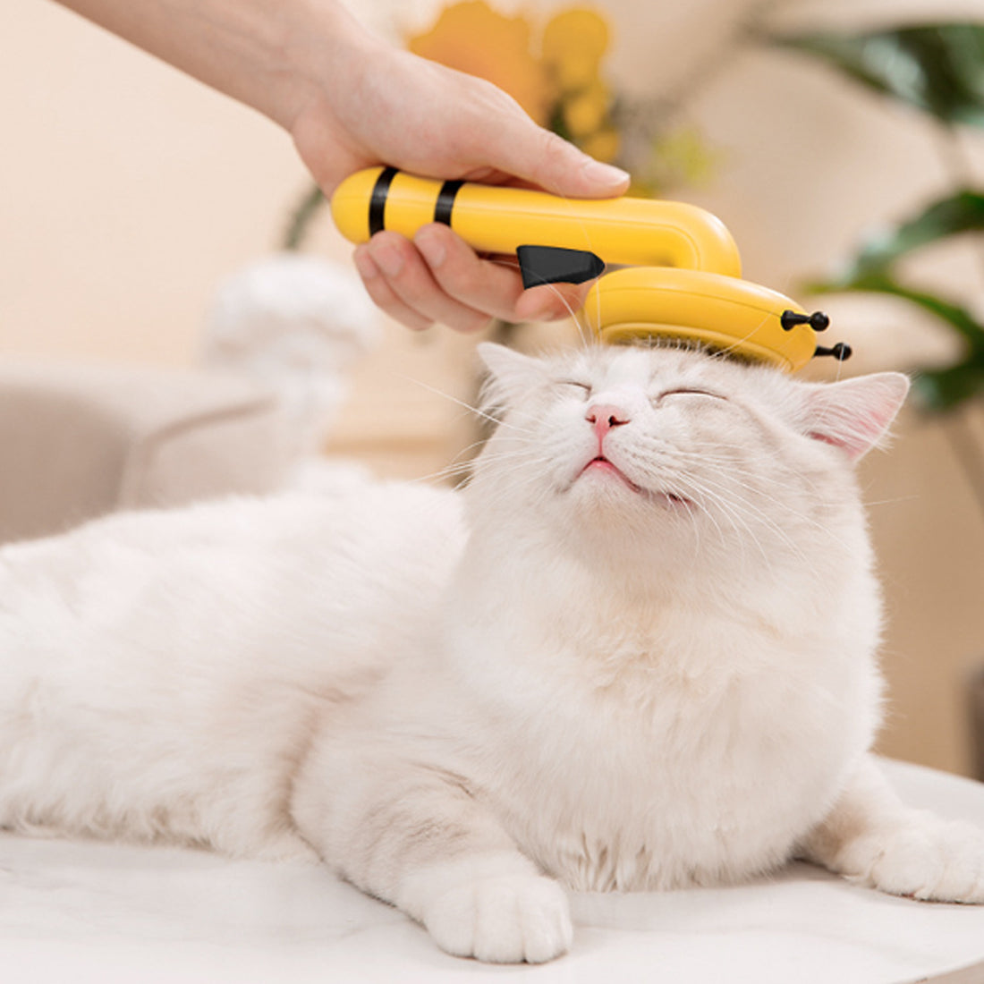 Pet Needle Comb