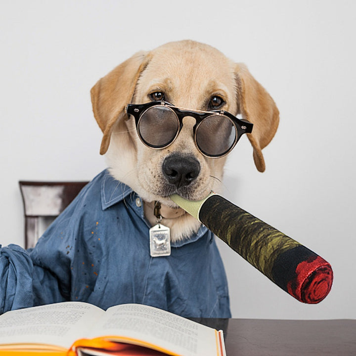 Pet Toys Dog Fake Cigarettes