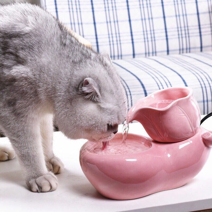 Automatic Pet Ceramic Waterer