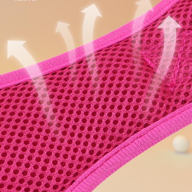 Pet Leash Chest Harness