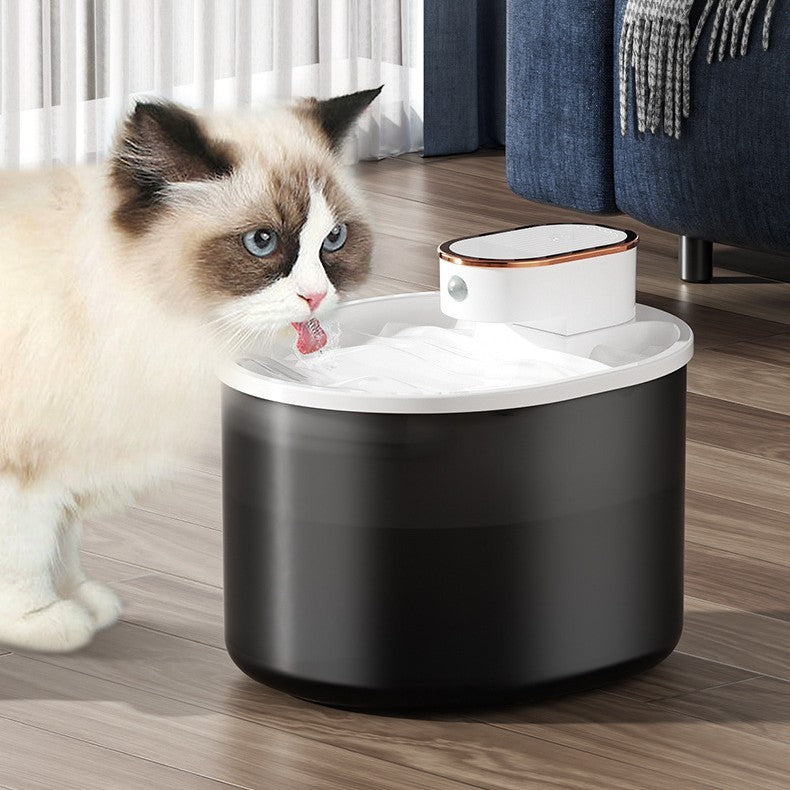 Wireless Pet Water Dispenser