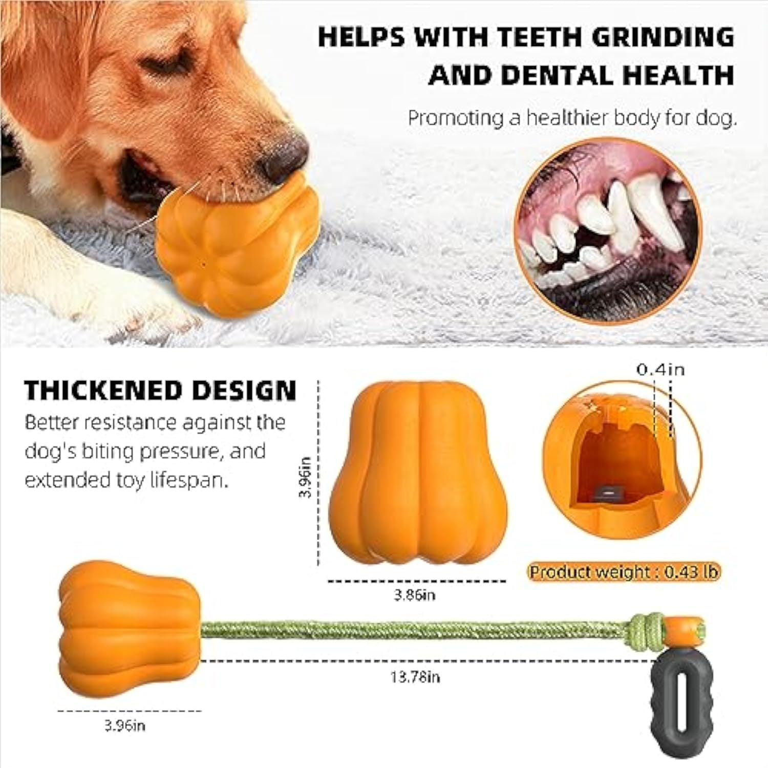 Halloween Premium Dog Toy