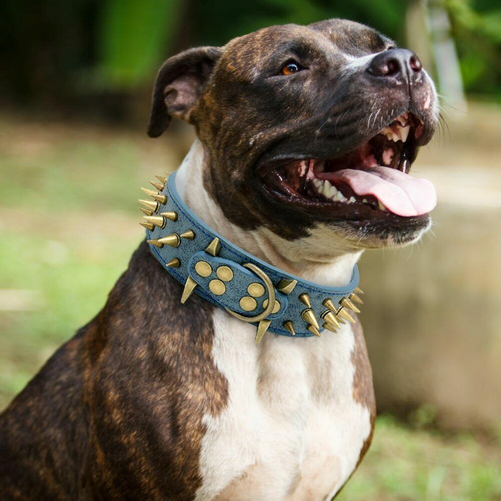 Protective Anti-bite Collar Dog Leashe