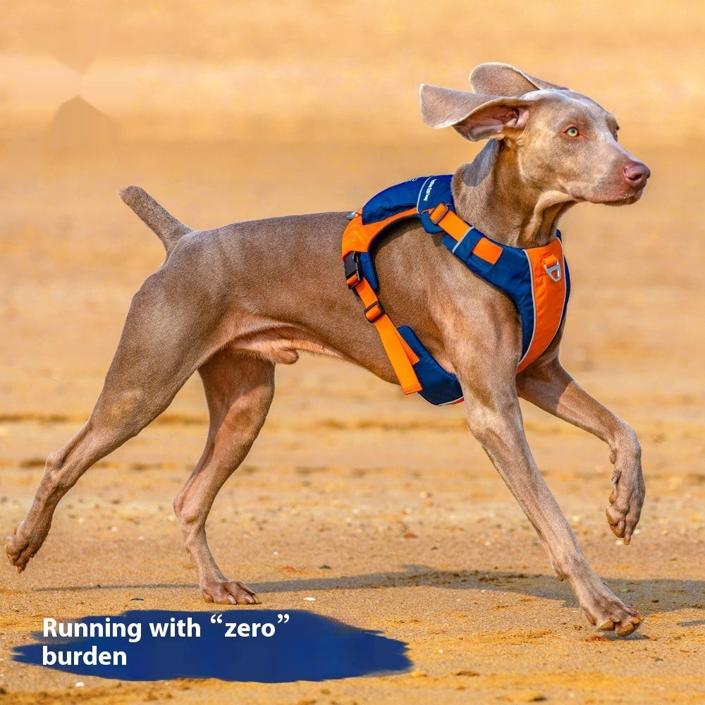 Dog Chest Leashe Strap